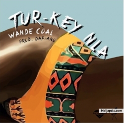 Tur-key Nla by Wande Coal (Prod. By DaPiano)
