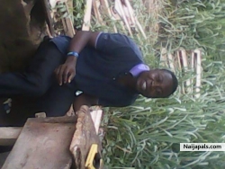 ilesanmi Adeyemmy (Auditor267)