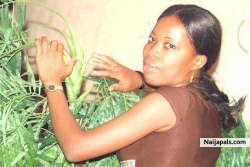 my pix
