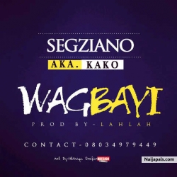 nurudeenn balogun (shegzirano1)