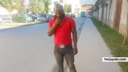 My Picture