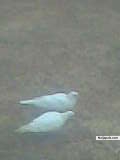 My Picture