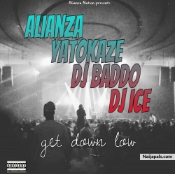 Jet Down low by Alianza ft yatokaze Dj baddo Dj ice 