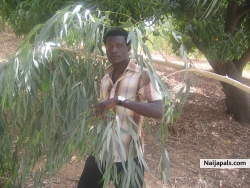 Abdulkadir Hassan Disina