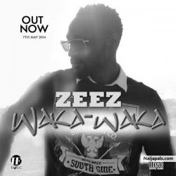 Waka Waka by DJ Zeez