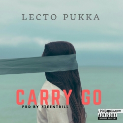 Carry Go by Lecto pukka