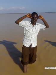 BAKOLORI DAMB