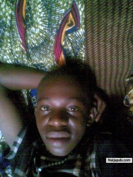 Home Boi