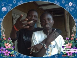 hakim 5 et cyrus levirus