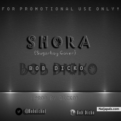 Shora (sugarboy cover) by Bob Dicko