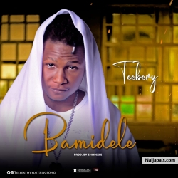 Bamidele by TeeBery