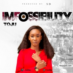 Impossibility by Toju 