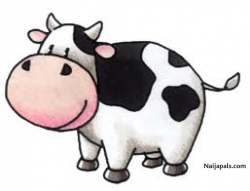 Abebi Cisse (cow_net)