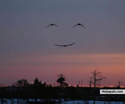 :) 