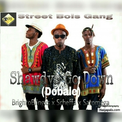 Shaydys Go down (Dobale) by BrightoBlingxs x Scheffa and saromega
