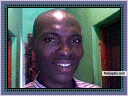 martins ibibia (martinsi)