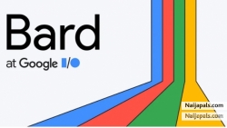 Google does not have my Google Record! [NAIJAPALS.COM] has and Registers!!