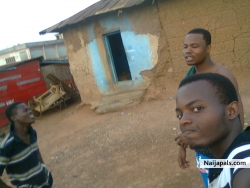 Skeptar Godfred (Skeptar)