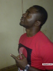 adikwu ocholi