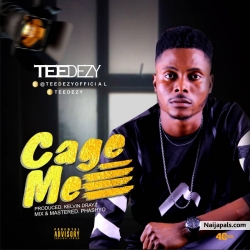 Cage me by Teedezy