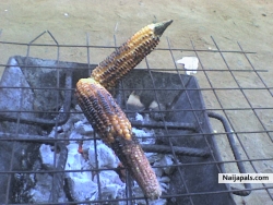 oya chop corn