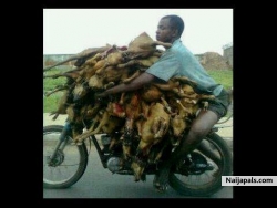 This is hapening in Ibadan the capital of Oyo state