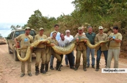 BIGGEST SNAKE!