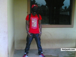 Abubakar Elsadeek (Elsadeek)