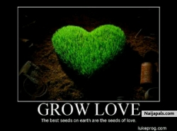 grow