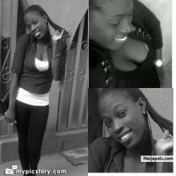 stellamaris olo (kimanidovey)