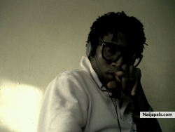 am just a film director