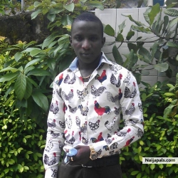 Oviomo timothy alfred (Ovisalfred)