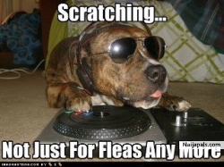 dele ibrahim