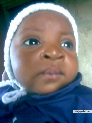 Fyn Boy kenan