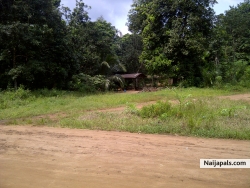 Muo (Igboladyindias)