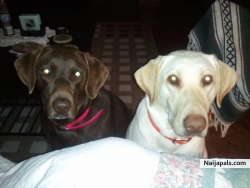 Max parents