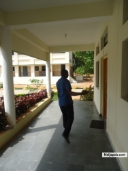 Shehu lawal (tysonyd1st)