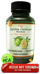 puregcsupplement (puregcsupple)