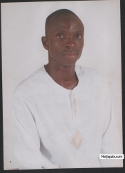 stephen akintola iyiade