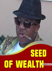 SEED OF WEALTH