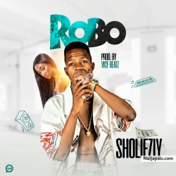 Robo (Prod. By Vice Beatz) by Sholiezly