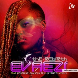 The Breakup Song by Evaezi