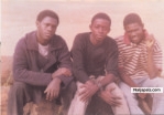 Cyano and Friends