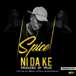 Ni Da Ke (Prod. by 9plux) by Spice | instagram @Don_spice01