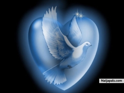 One Love