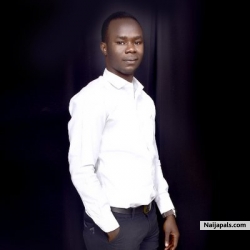 Chidiebere Moses Ogbodo working towards innovation and development