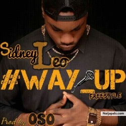 Way up by Sidney Leo 