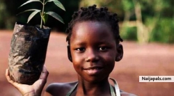 plant 10 trees and care about harvesting only 75 fruits. 