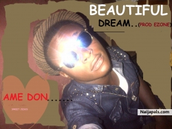 Beautiful dream by Ame don