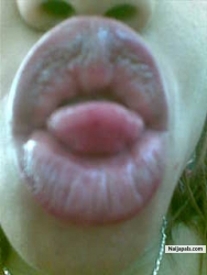 My Picture